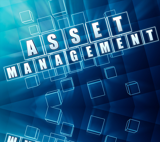 Asset Management services at Veritas-Asset Management-image 02 Asset-Management-services-at-Veritas-Asset-Management-image