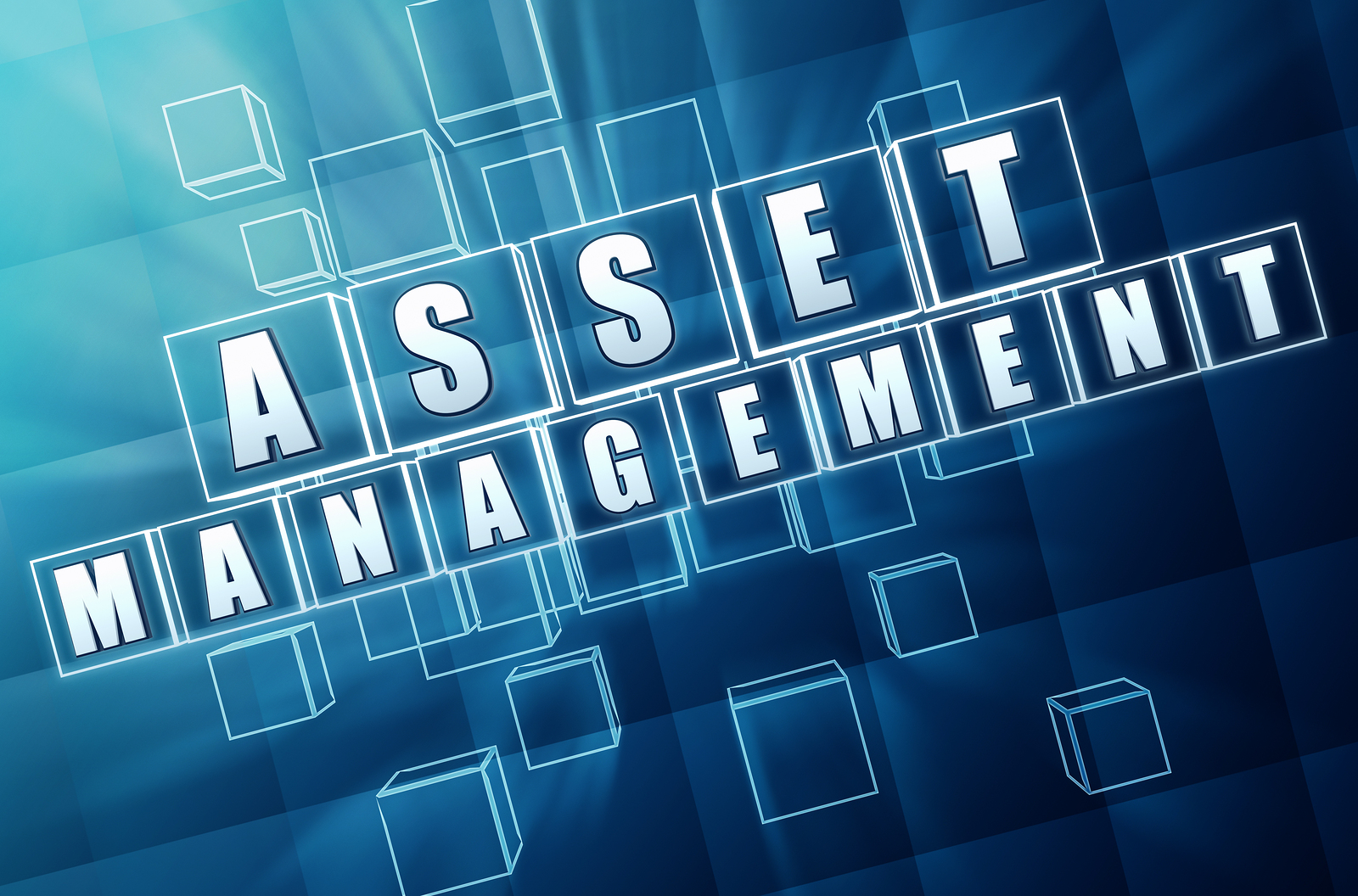 Asset Management In Blue Glass Blocks
